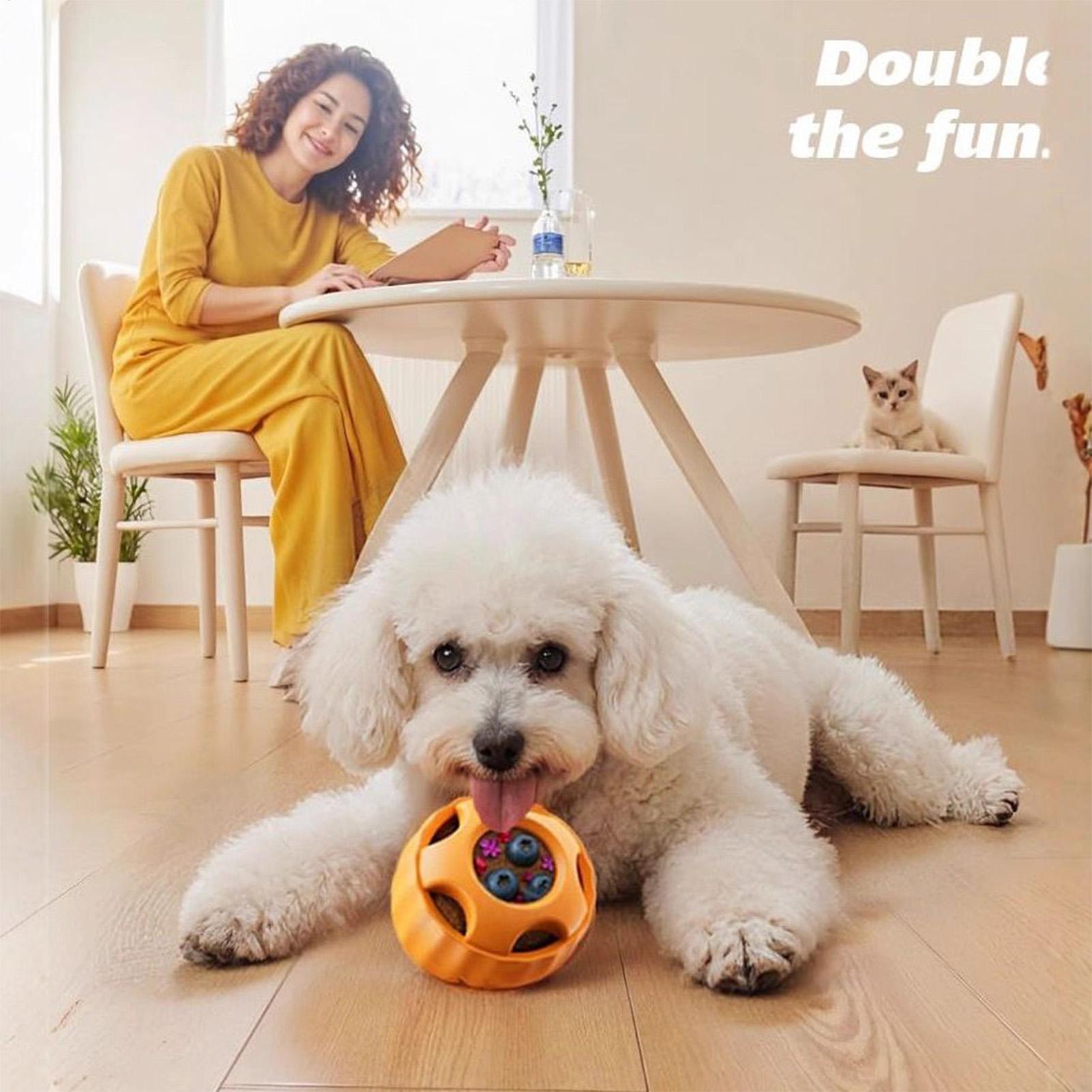 ของเล่นสุนัขแบบมีช่องใส่ขนม ขอ - Dog Puzzle Feeder Toy บทวิจารณ์และราคา