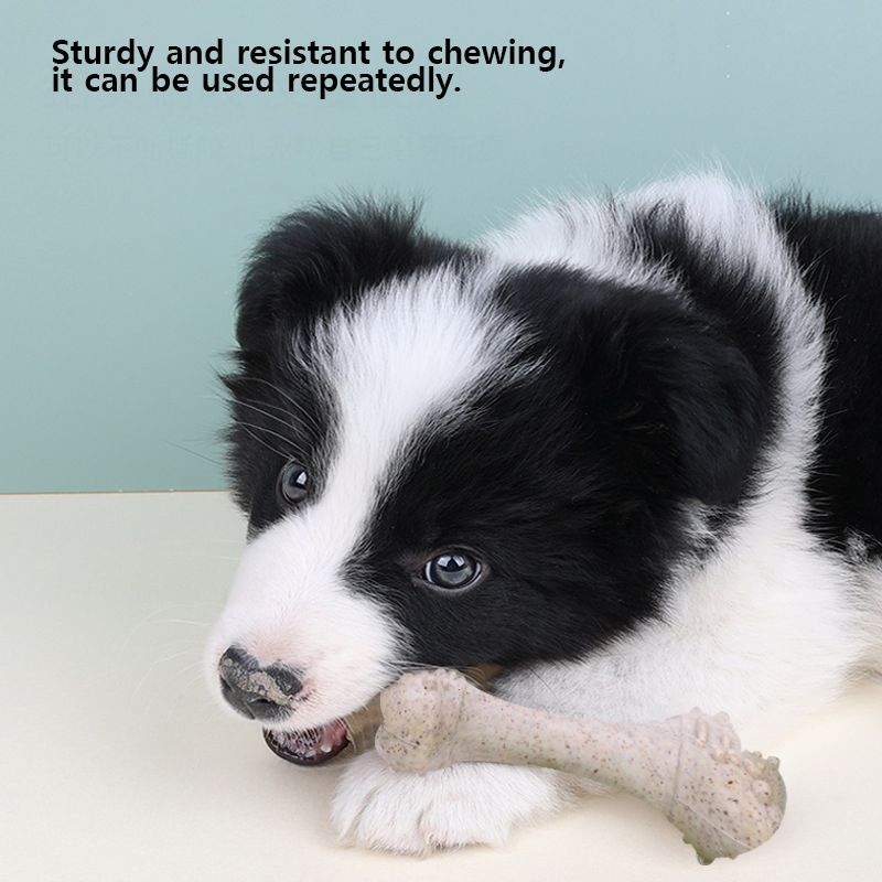 ของเล่นสัตว์เลี้ยง 12 ซม. ขนมข - Teeth Cleaning Dog Chew Bone บทวิจารณ์และราคา