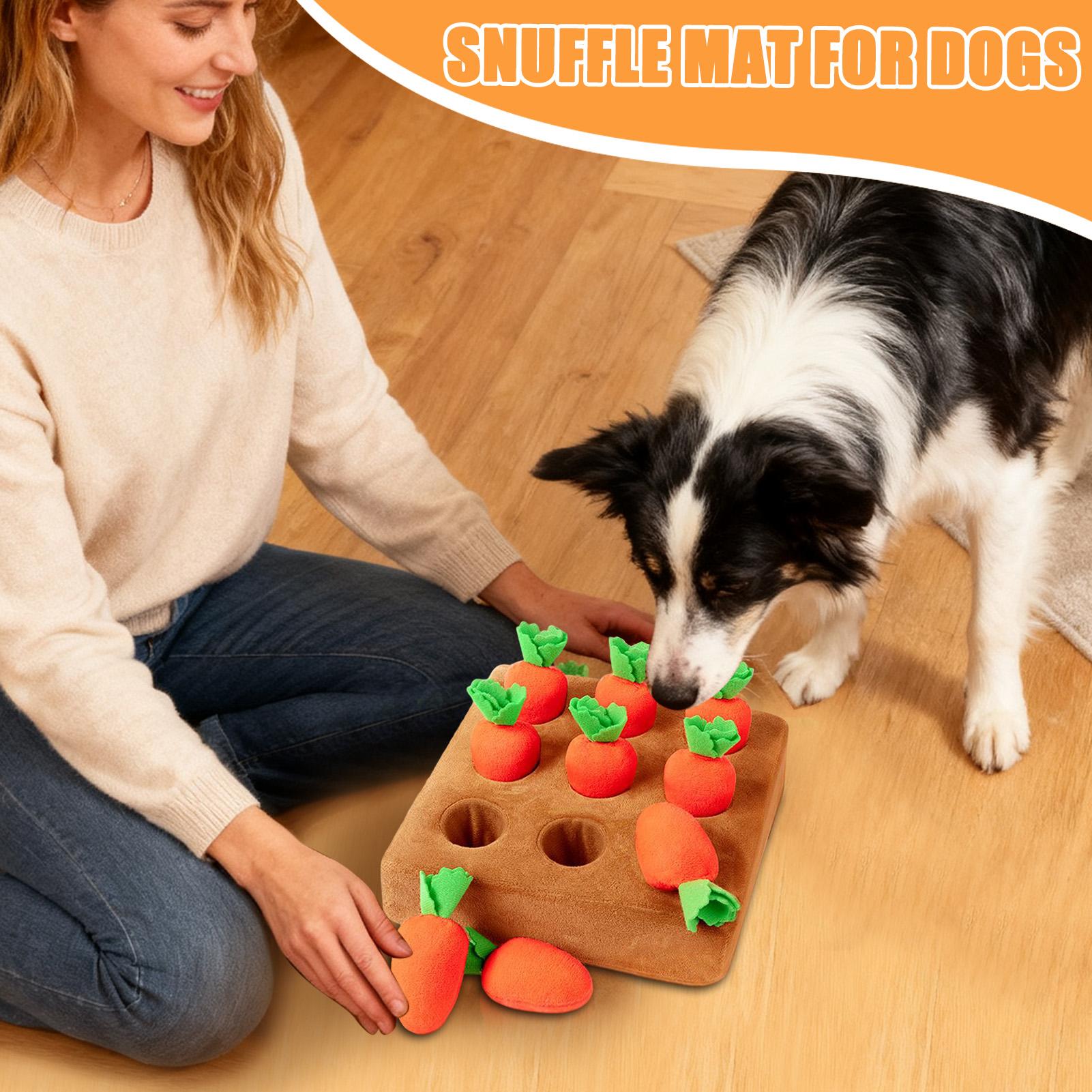 แผ่นรองดมกลิ่นสำหรับลูกสุนัข ข - Snuffle Mat For Dogs บทวิจารณ์และราคา