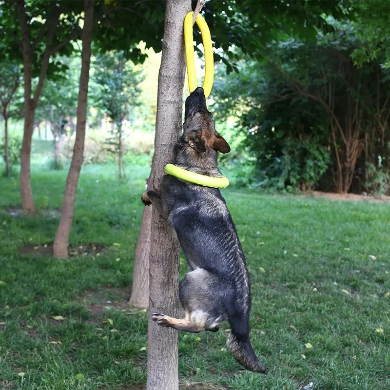 ของเล่นสุนัขของเล่นสัตว์เลี้ยง - Suction Cup Dog Tug Toy บทวิจารณ์และราคา