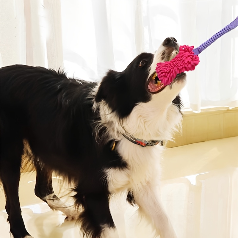 ของเล่นสุนัขที่ทนทานสำหรับสุนั - Indestructible Dog Chew Toy บทวิจารณ์และราคา